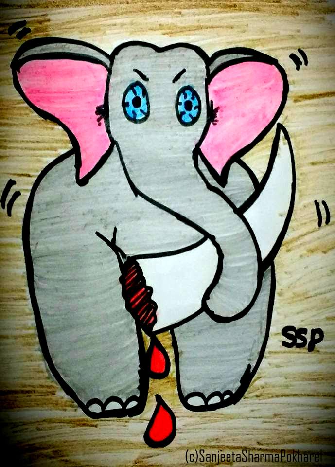 13726722_10208806560673584_5897797139475423088_n