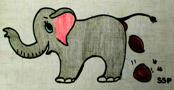 14492323_10209428761828224_1396664484455123697_n