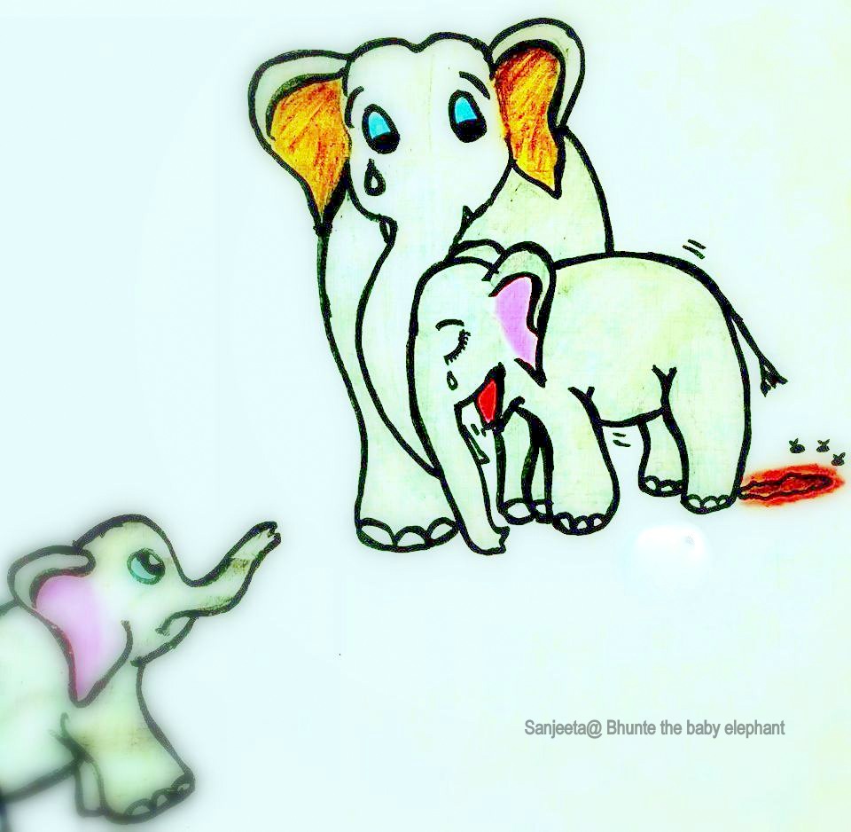 15317886_10210069154037629_4510514321650132459_n