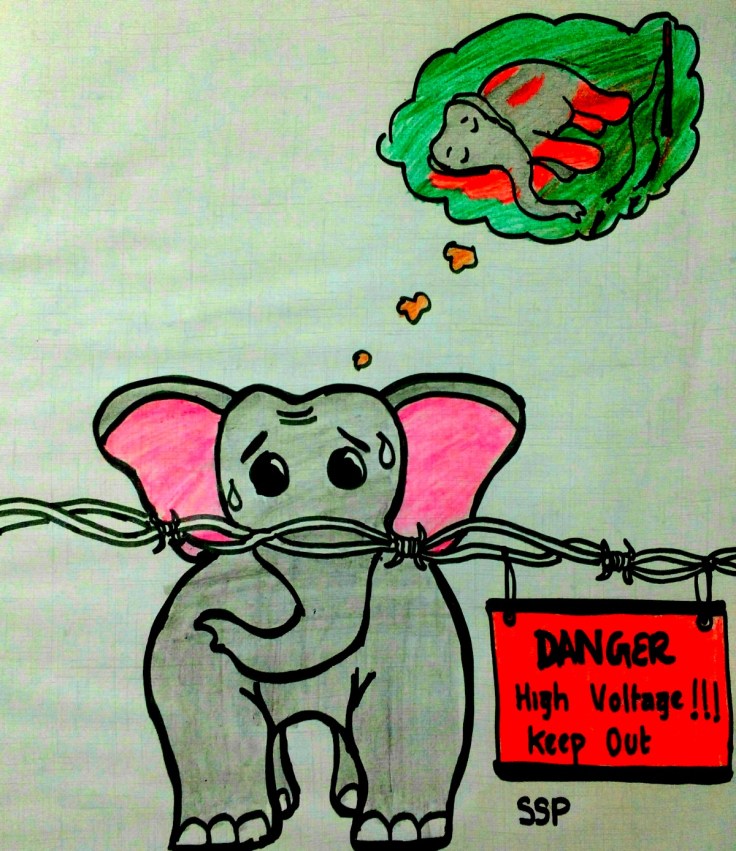 16442740_10210615314851308_181959730_o