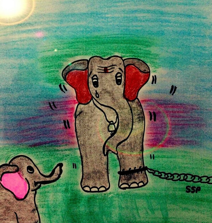 17149144_10210917450004498_1150951170_o