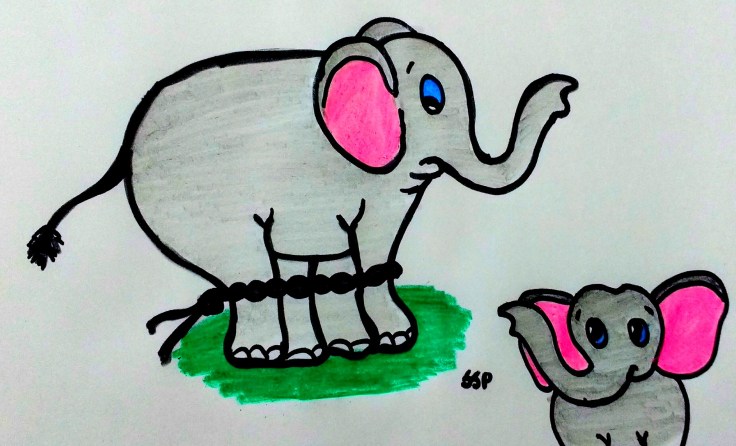 21458788_10212601744470807_1343529683_o