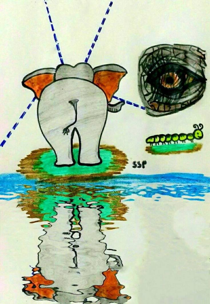 24116456_10213204377536257_385584841_o