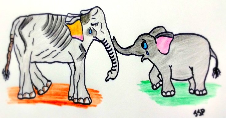 IMG_20190817_185839934