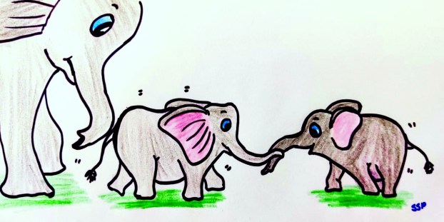 WhatsApp Image 2019-12-11 at 1.14.37 PM.jpeg