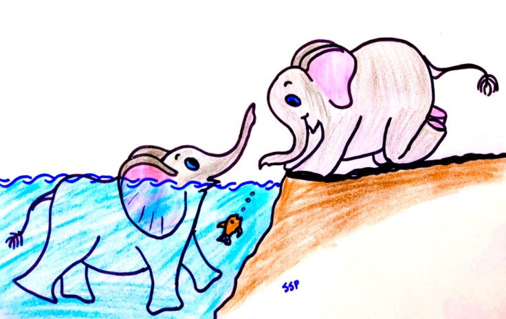 WhatsApp Image 2019-12-11 at 1.14.37 PM(2)