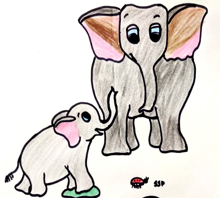 WhatsApp Image 2020-03-09 at 11.55.42 AM (1)