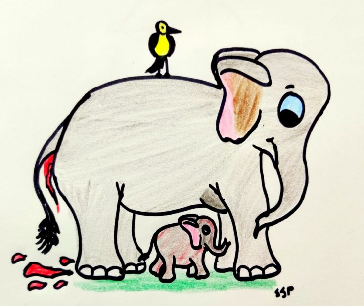 WhatsApp Image 2020-03-09 at 11.55.42 AM