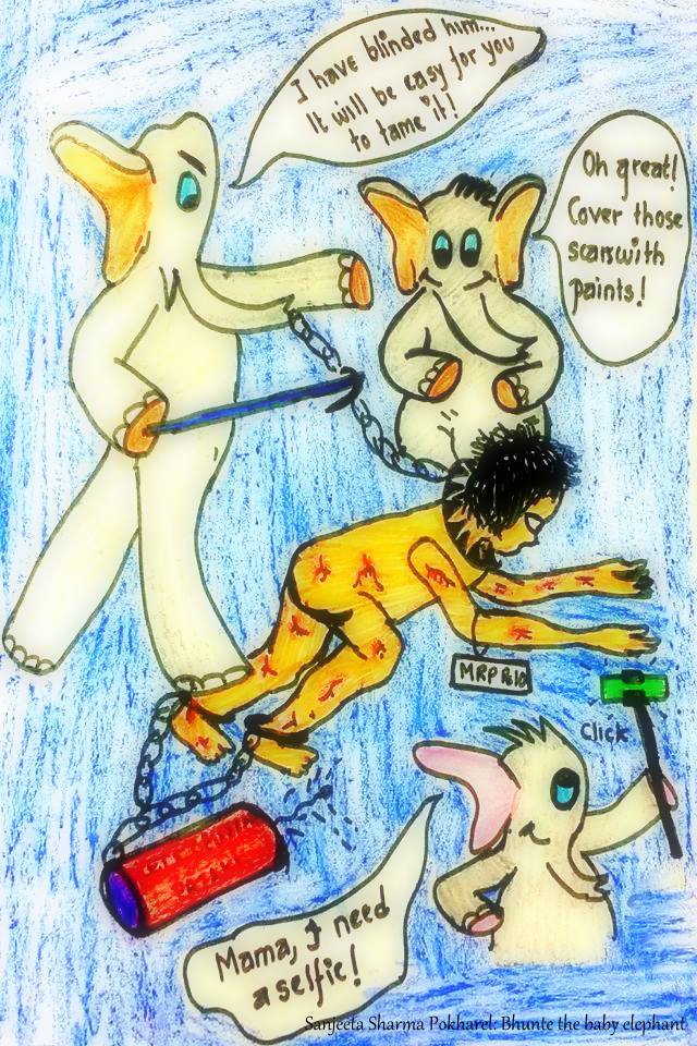 13876129_10208893093996863_7512580939814556535_n