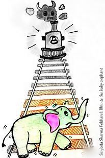 15350481_10210108170813024_5412882108320877214_n